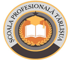 Scoala Profesionala Tarlisua