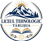 Scoala Profesionala Tarlisua